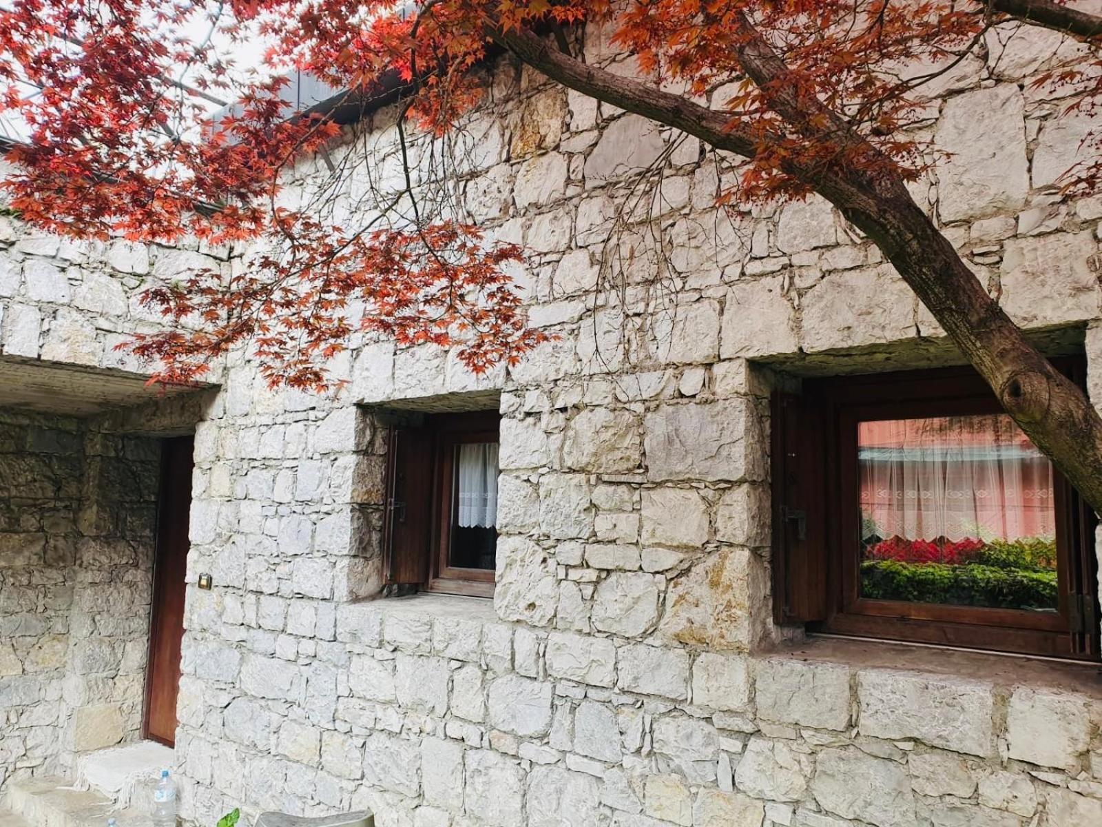 B&B San Rocco Capo di Ponte Exteriér fotografie
